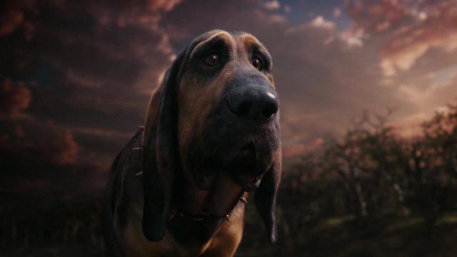 Bayard - Personnage - Alice au pays des merveilles (film - 2010). 1 bayard disney personnage character alice au pays des merveilles in wonderland