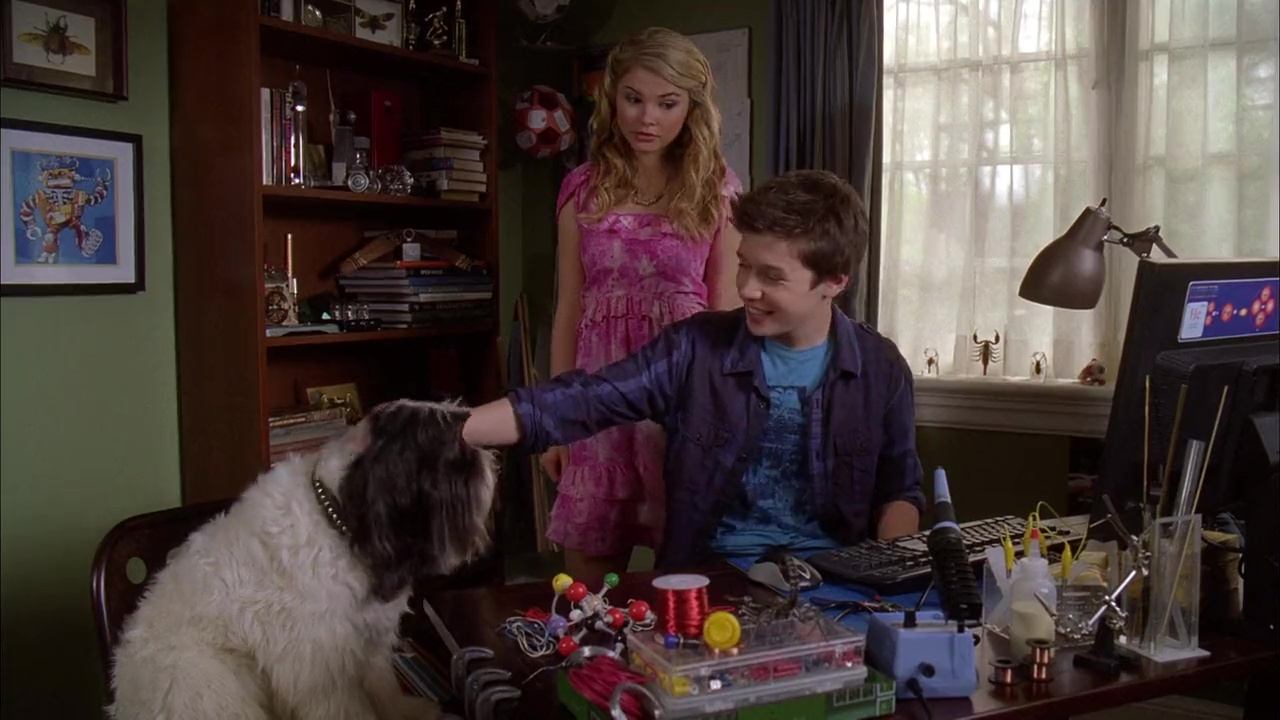Image amiennemies frenemies disney channel