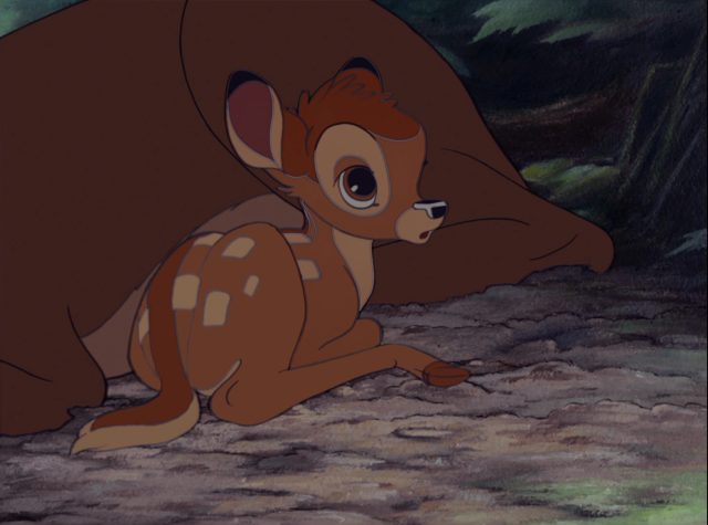 Bambi - Personnage - Bambi. 5 disney personnage character bambi