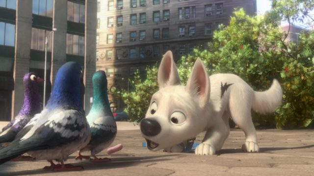 Les pigeons Joey, Vinnie et Bobby - Personnage - Volt, star malgré lui. 4 disney les pigeons vinnie bobby et joey personnages de volt star malgré lui