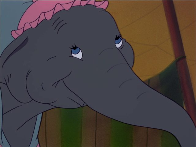 Madame Jumbo - Personnage - Dumbo. 1 madame mrs jumbo elephant disney personnage character dumbo