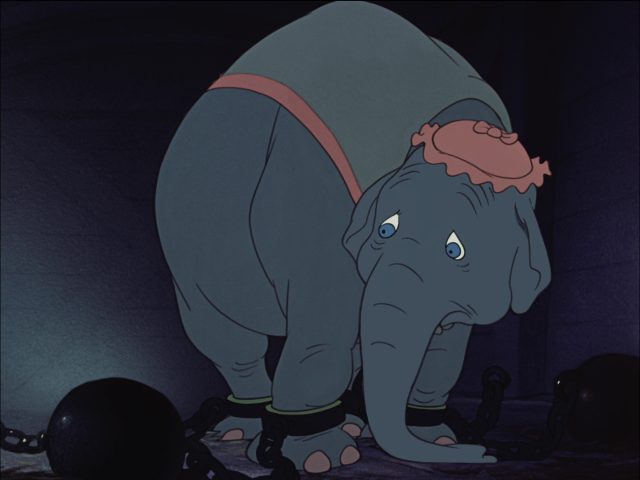 Madame Jumbo - Personnage - Dumbo. 6 madame mrs jumbo elephant disney personnage character dumbo