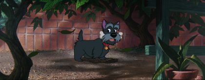 Jock - Personnage - La Belle et le Clochard. 9 Jock – Personnage – La Belle et le Clochard.