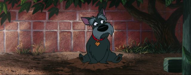 Jock - Personnage - La Belle et le Clochard. 2 la belle et le clochard lady and the tramp jock chien dog disney animation personnage character