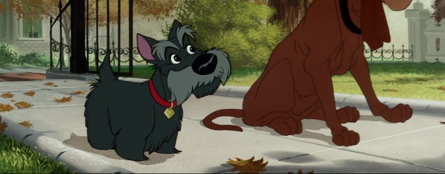 Jock - Personnage - La Belle et le Clochard. 7 la belle et le clochard lady and the tramp jock chien dog disney animation personnage character