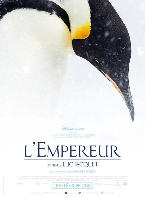 L'empereur - Streaming. 1 affiche poster l'empereur disneynature