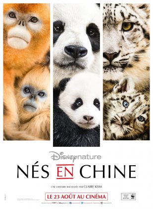 affiche ne chine born china poster disney disneynature