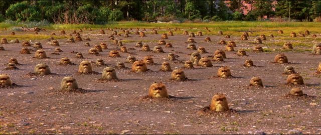 Les lemmings - Personnage - Le voyage d'Arlo. 1 lemming personnage character good dinosaur voyage arlo disney pixar