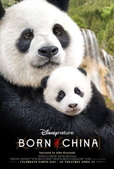 affiche poster né chine born china