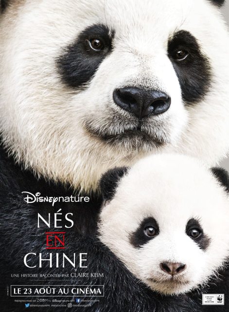 affiche poster né chine born china