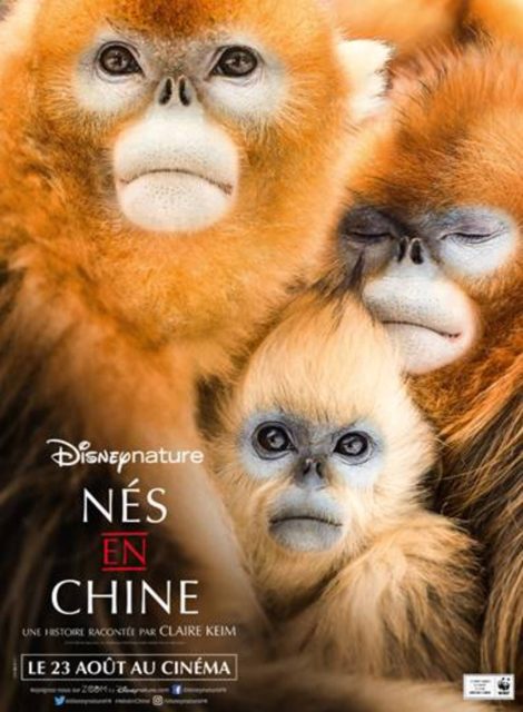 affiche poster né chine born china