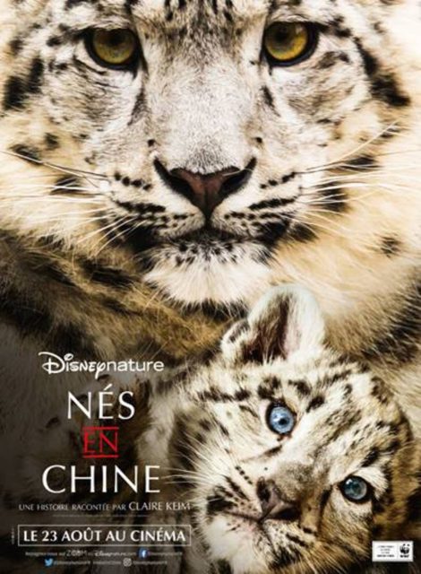 affiche poster né chine born china