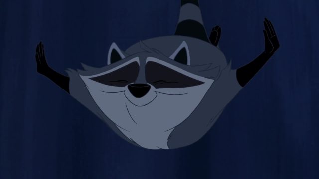 Meeko - Personnage - Pocahontas, une légende indienne. 6 Meeko Personnage Character Disney Pocahontas légende indienne