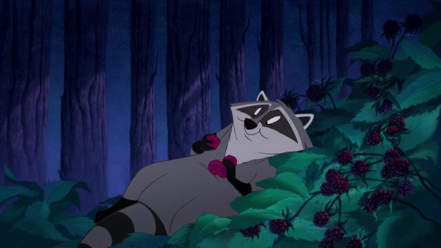 Meeko - Personnage - Pocahontas, une légende indienne. 8 Meeko Personnage Character Disney Pocahontas légende indienne