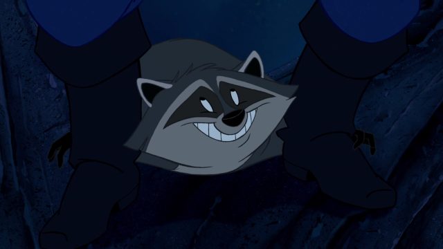 Meeko - Personnage - Pocahontas, une légende indienne. 3 Meeko Personnage Character Disney Pocahontas légende indienne