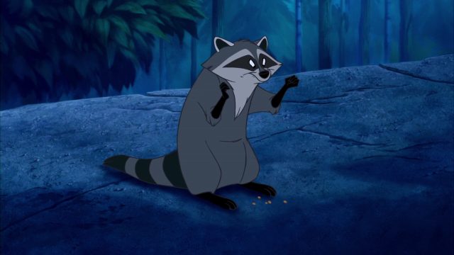 Pocahontas, une légende indienne - Photos et affiches. 19 Meeko Personnage Character Disney Pocahontas légende indienne