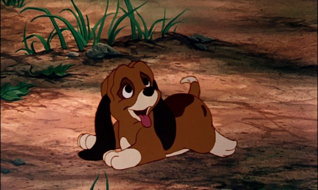 Rox et Rouky - Photos et affiches. 24 copper personnage rox rouky fox hound disney character