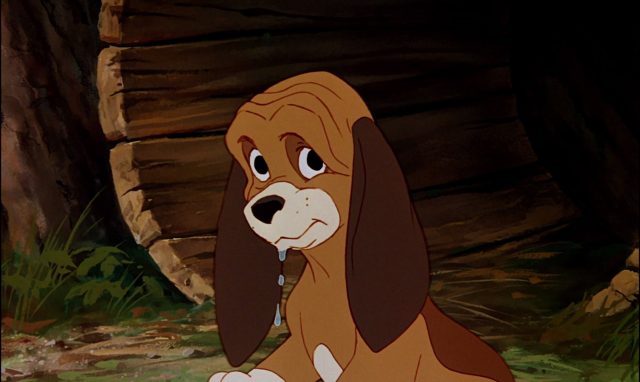 Rox et Rouky - Photos et affiches. 23 copper personnage rox rouky fox hound disney character