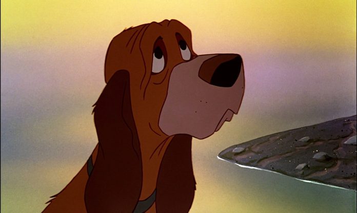 Roukey Rouky - Personnage - Rox et Rouky. • Disney • CinéFilms-Planet