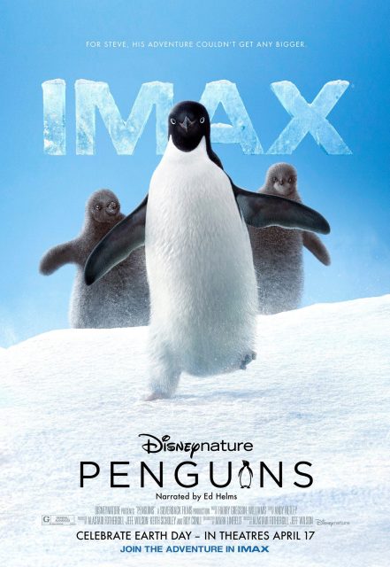 Affiche poster penguins disney disneynature