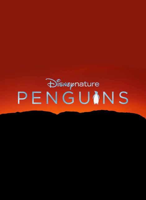 affiche poster penguins disney disneynature