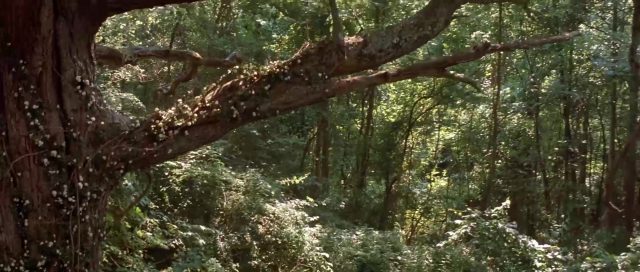 Les répliques cultes du film Immortels. 5 replique quote tuck everlasting immortels disney