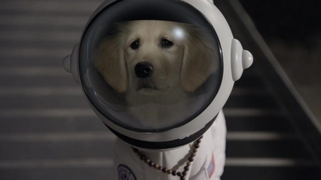 Les répliques cultes du film Les Copains dans l'espace. 3 réplique quote copains espace space buddies disney