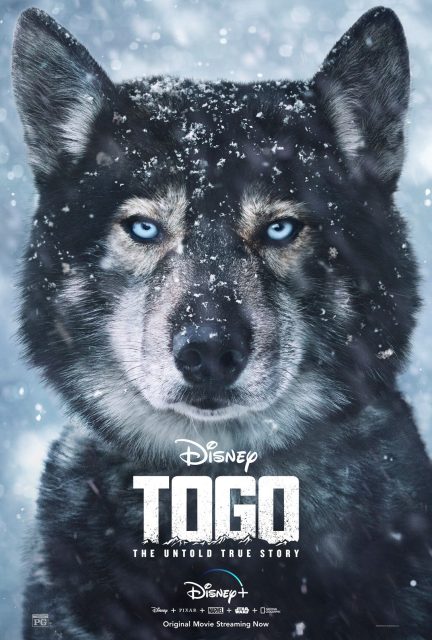 Affiche poster togo disney+ plus