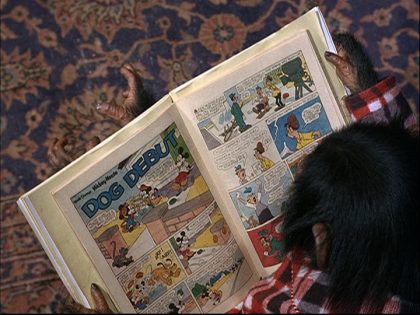 Les clins d&rsquo;oeil dans Un neveu studieux.