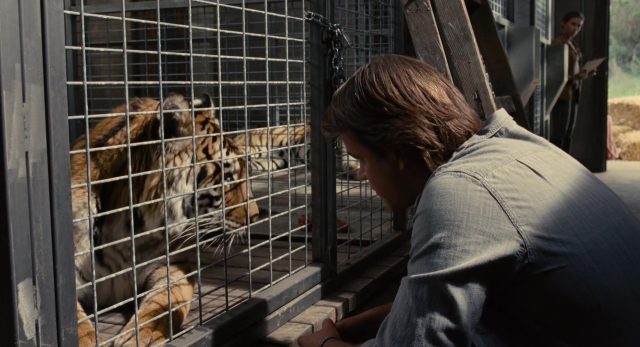 Matt Damon et Scarlett Johansson dans Nouveau départ We bought a zoo 2011