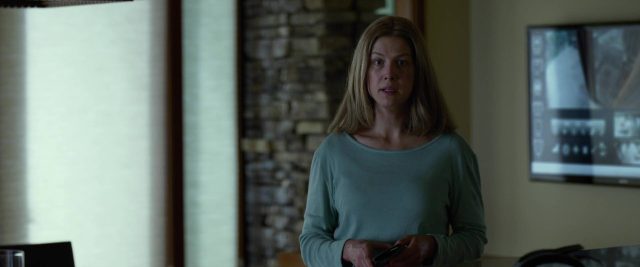 Gone Girl - Photos et affiches. 23 image gone girl