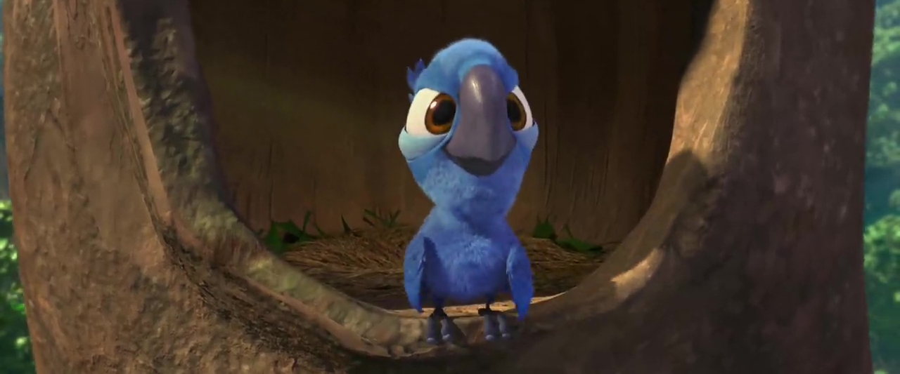 Image rio disney fox blue sky