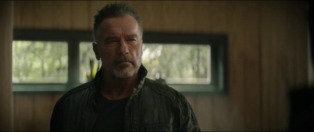 Terminator : dark fate - Photos et affiches. 33 Linda Hamilton et Arnold Schwarzenegger dans Terminator : Dark Fate 2019