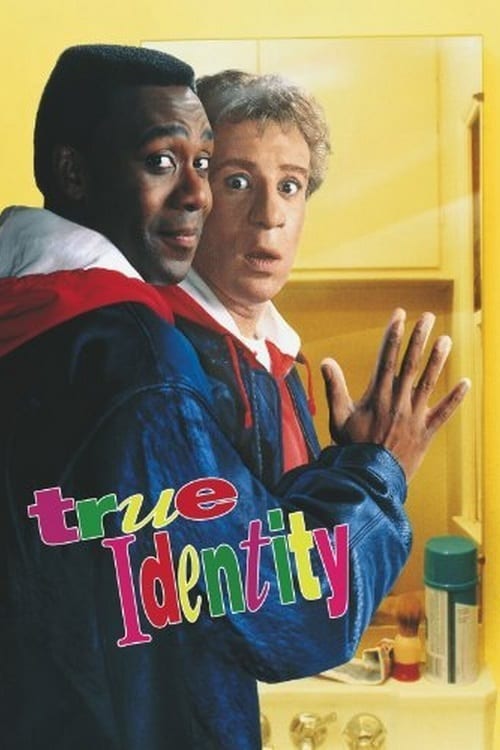 Affiche Poster double identité true identity disney touchstone