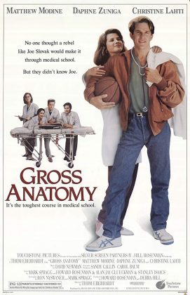 Gross anatomy.