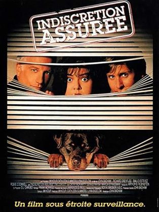 Affiche Poster indiscrétion assurée another stakeout disney touchstone