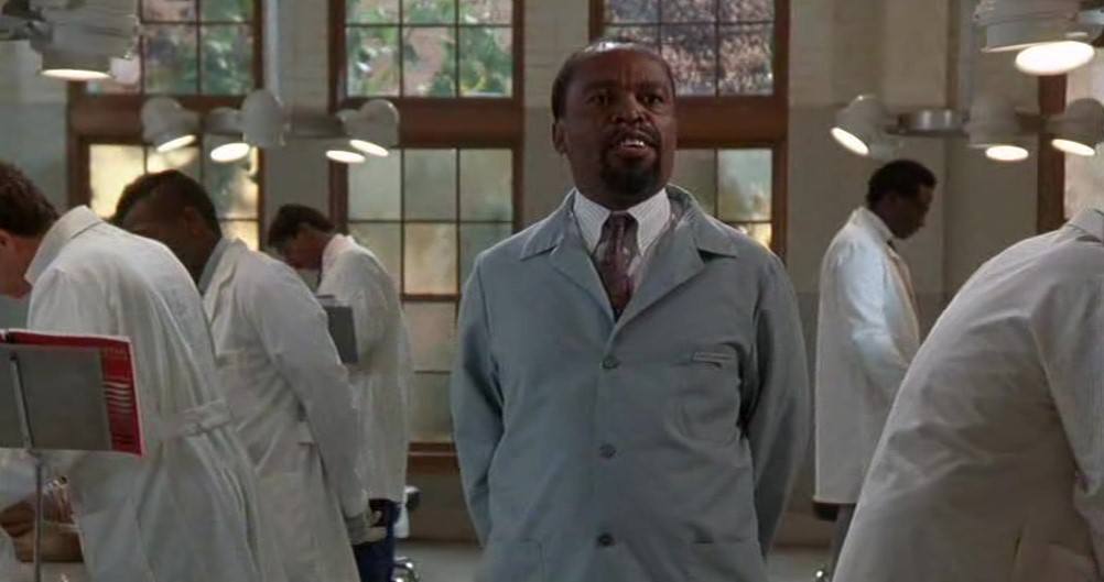 Image gross anatomy disney touchstone
