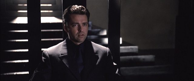 Image equilibrium disney dimension