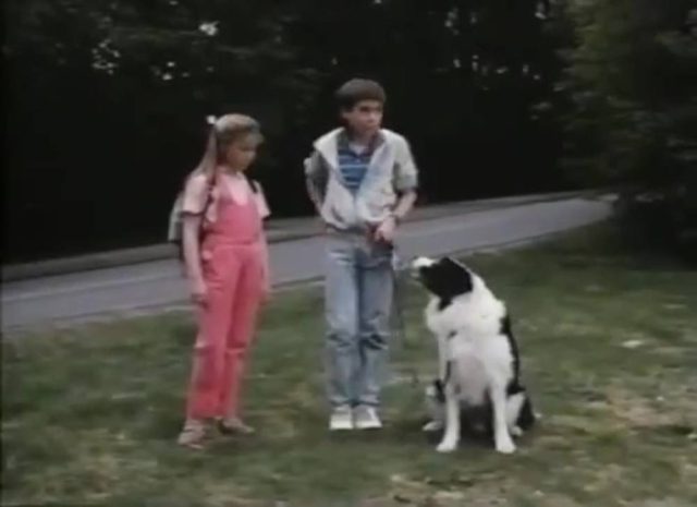 Capone, chien gangster ! 6 Image capone chien gangster spot marks x disney channel