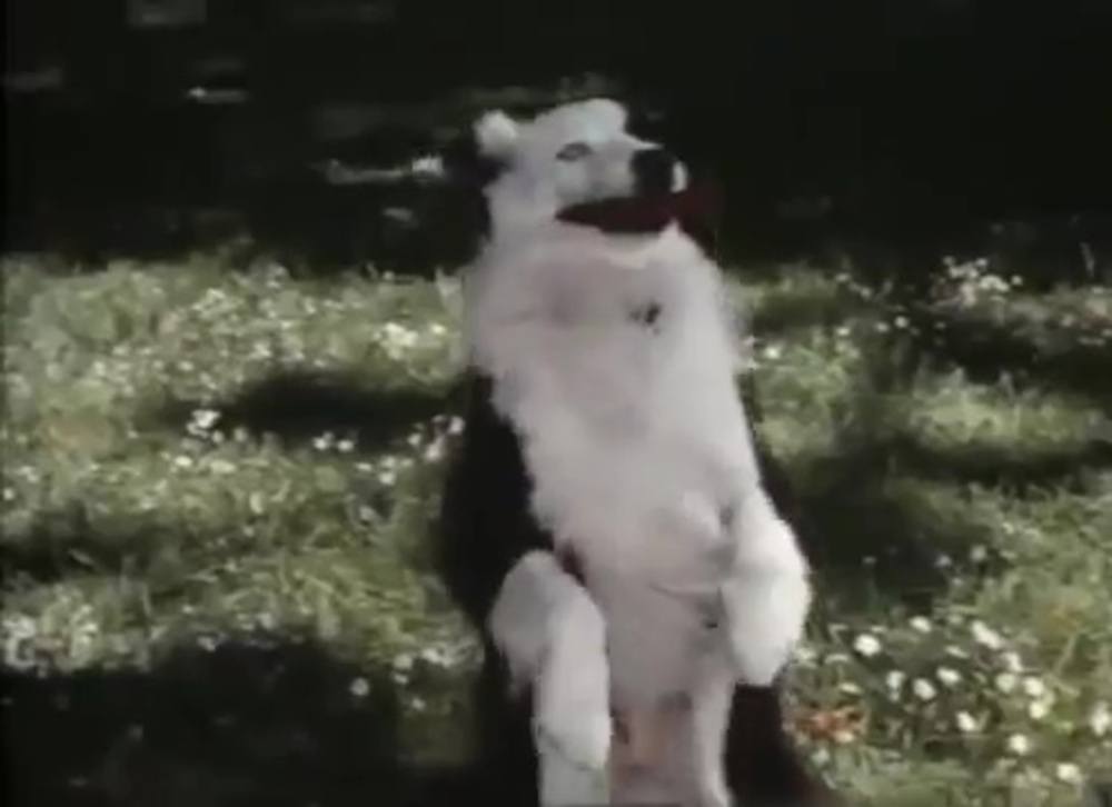 Image capone chien gangster spot marks x disney channel