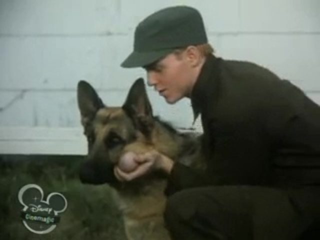 Image chips chien combat war dog disney channel