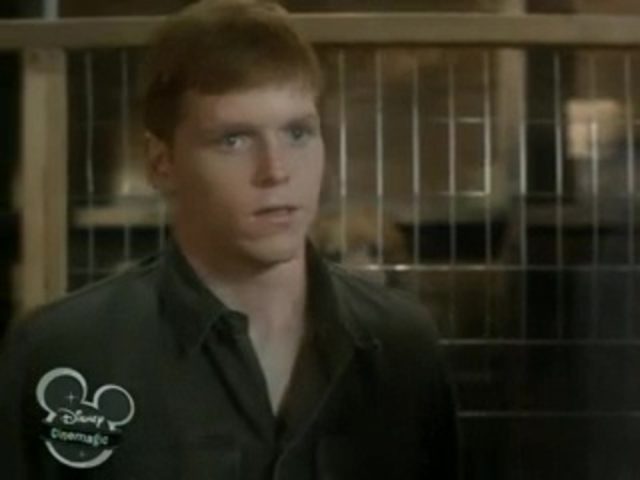 Image chips chien combat war dog disney channel