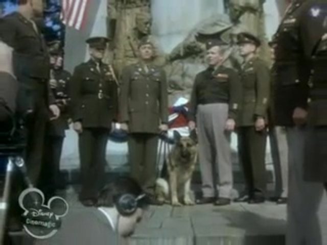 Image chips chien combat war dog disney channel