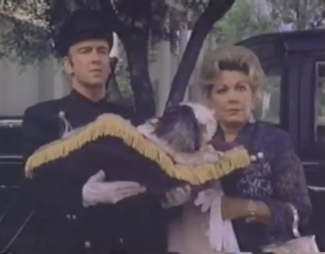 image Ollie Hopnoodle Haven Bliss disney channel