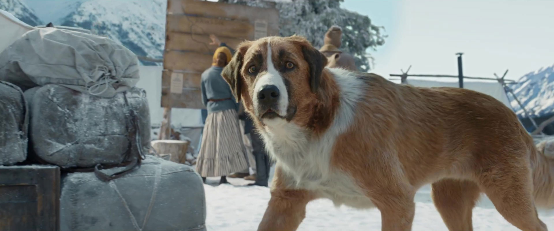 Image appel forêt call wild disney fox