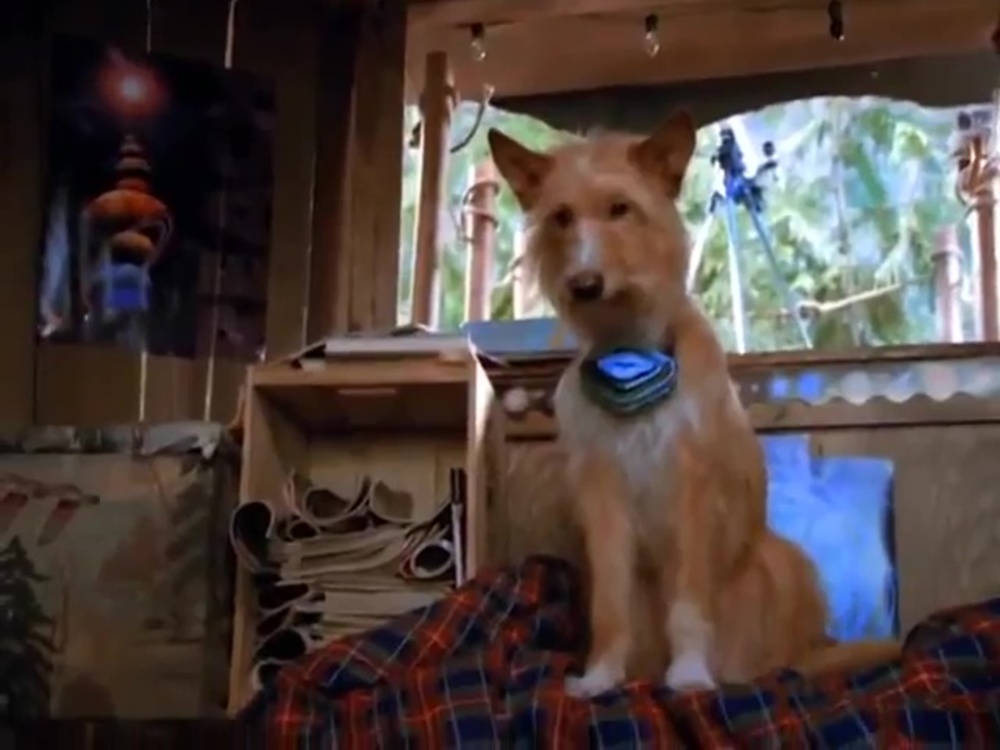 Image embrouilles galaxie can worms disney channel