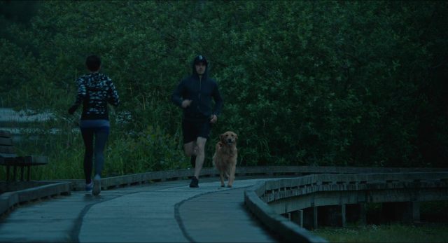 Les répliques cultes du film Dans les yeux d'Enzo. 3 replique quote art courir pluie racing rain disney fox