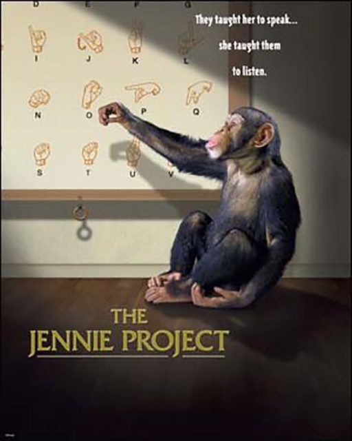 Jennie. 1 Affiche poster jennie project disney channel