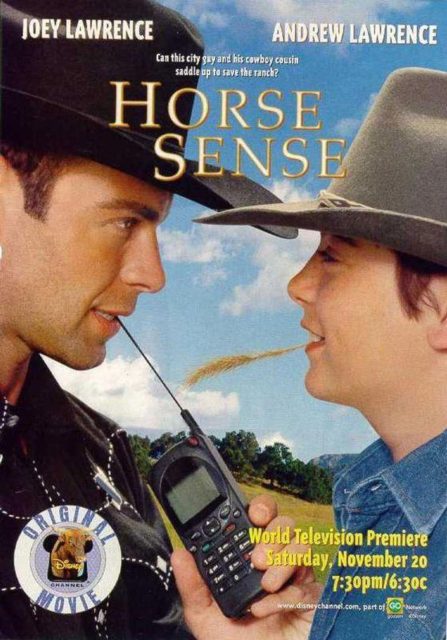 Le ranch du bonheur. 1 Affiche poster ranch bonheur horse sense disney channel