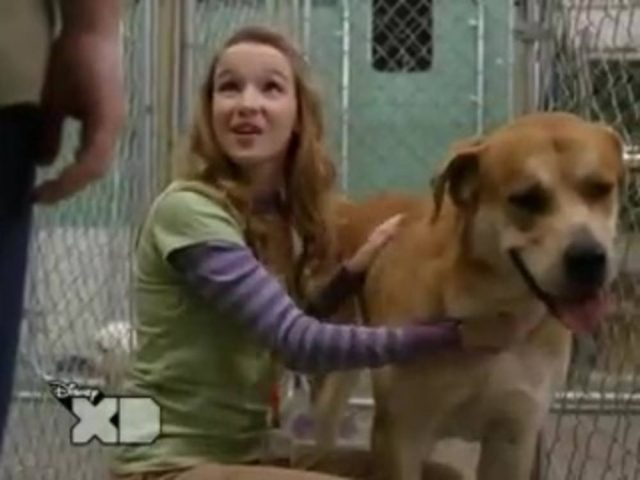image calvin tyco life ruff disney channel